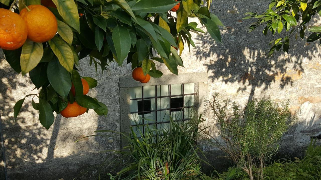 Casale Amati Country House Ortonovo Kültér fotó